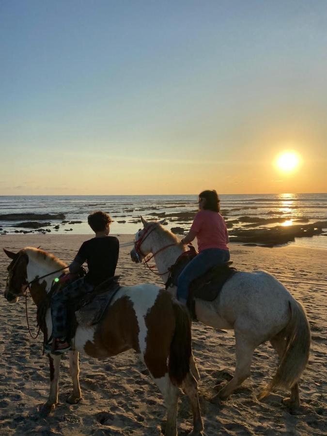 Casa Vitality Bed And Breakfast - Playa Guiones, Nosara - 4 Minute Walk To The Beach Екстериор снимка