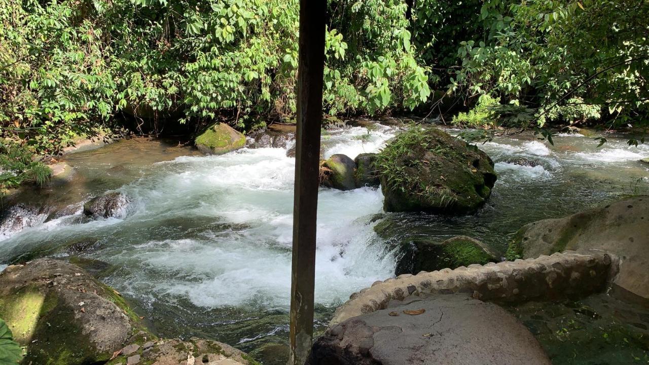 Casa Vitality Bed And Breakfast - Playa Guiones, Nosara - 4 Minute Walk To The Beach Екстериор снимка
